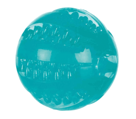 TRIXIE Dent Zábavná lopta z termoplastickej gumy 6cm